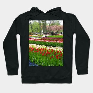 Keukenhof Tulip Festival, Holland Hoodie